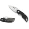 Spyderco 2024 Spyderco Cat G-10 Black Plain SPY-C129GP - alternate 1